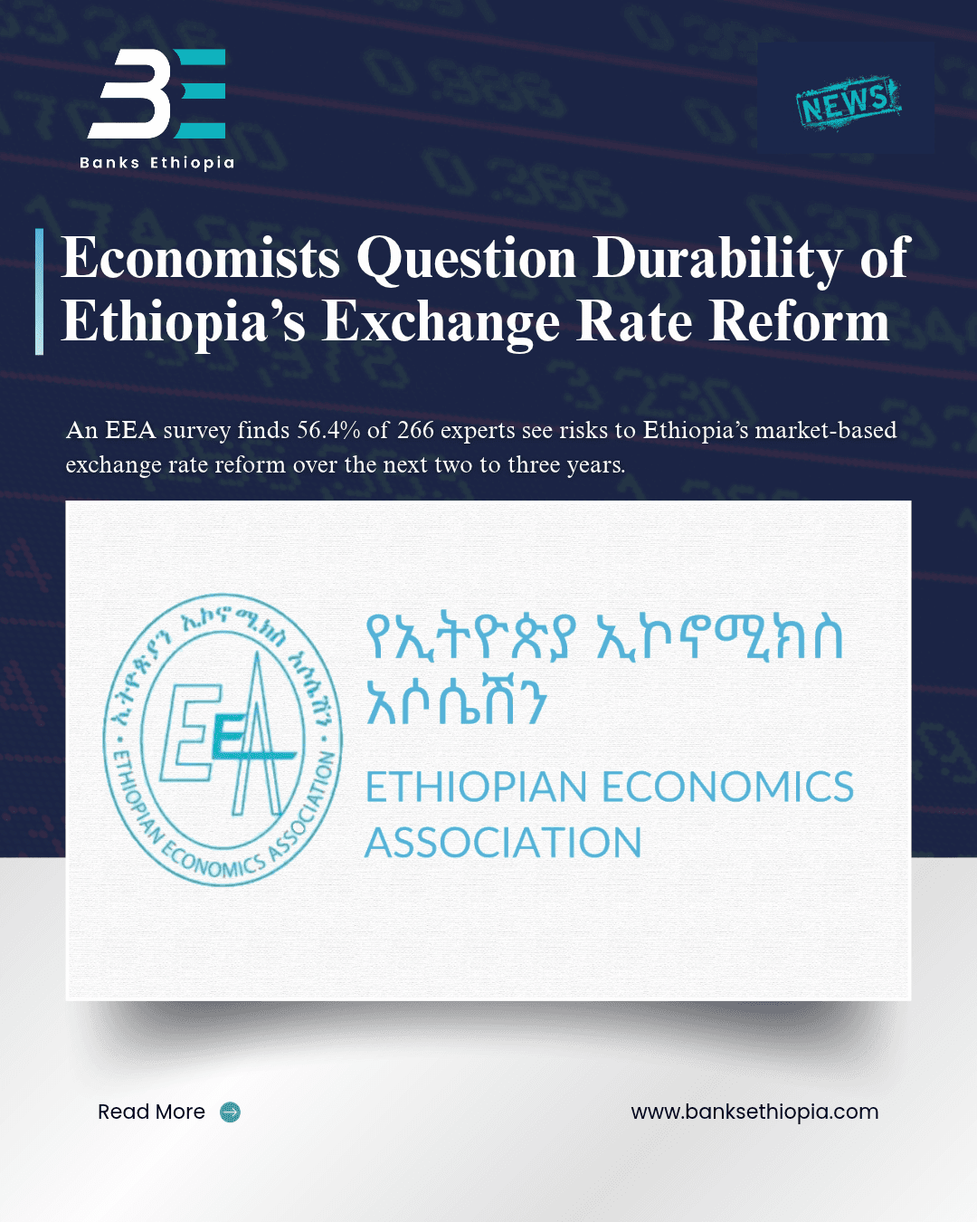Economists Question Durability of Ethiopia’s Exchange Rate Reform