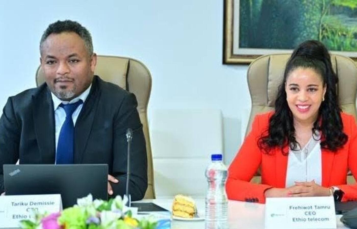Ethio Telecom Names Tariku Demissie Acting CEO