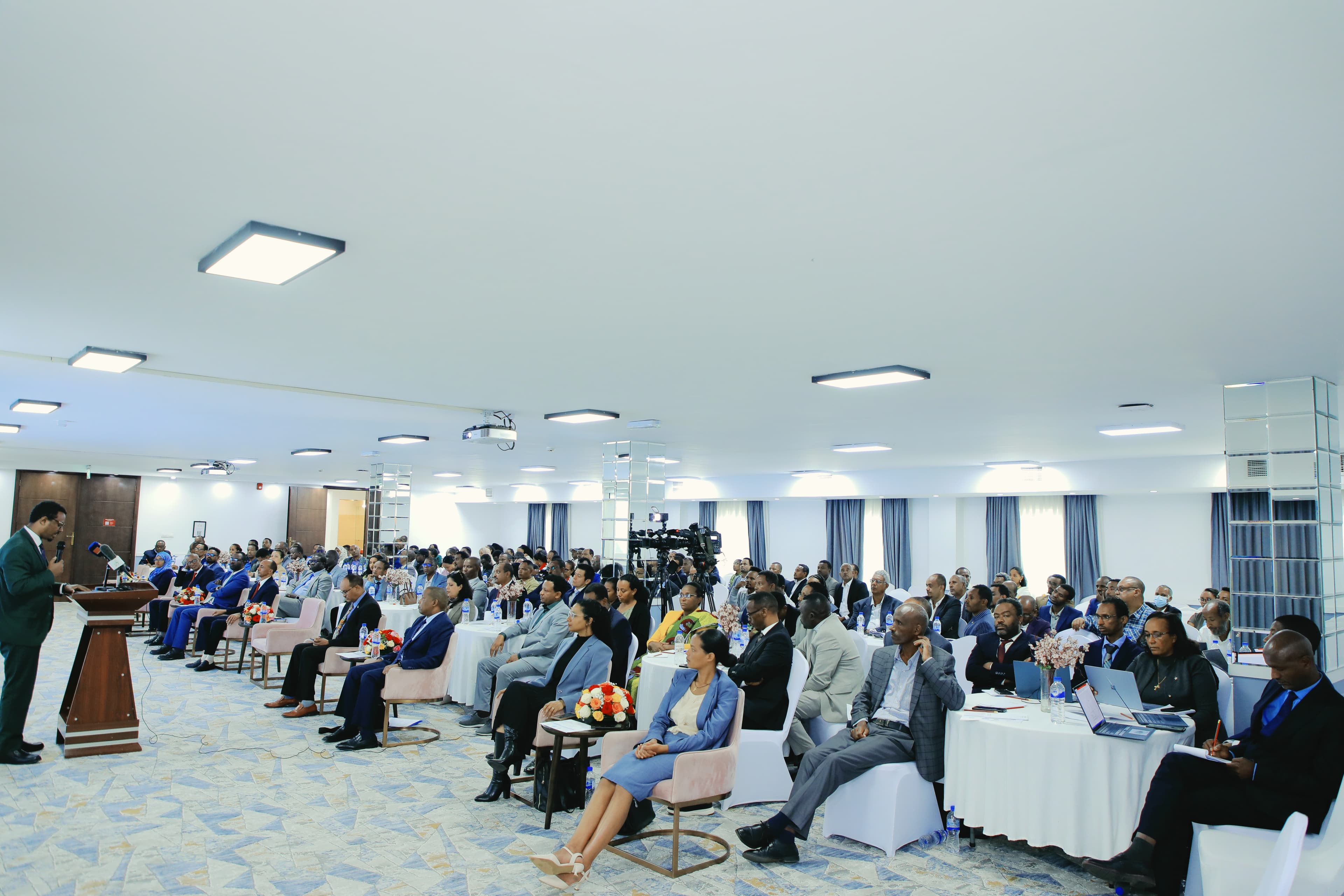 Ethiopia releases national employment and migration survey results